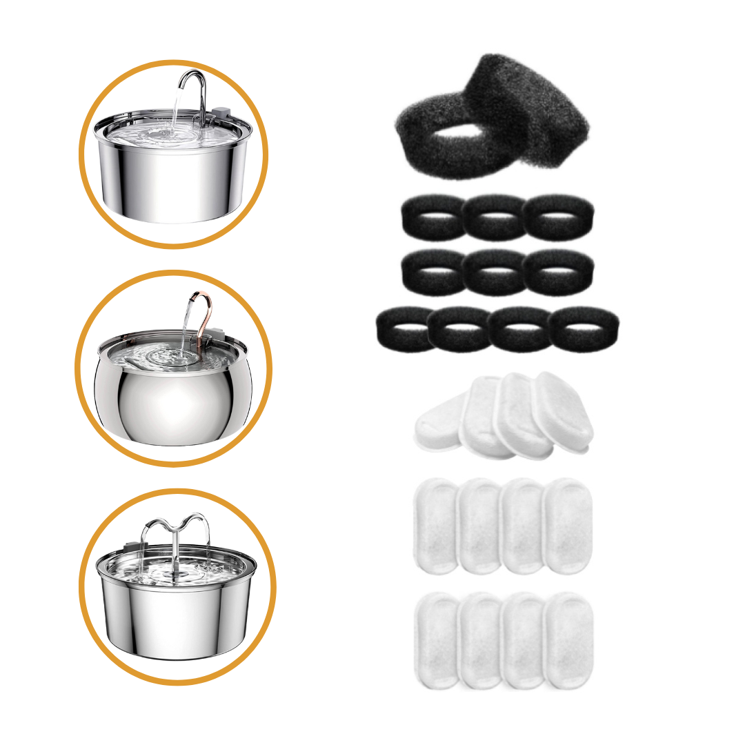 4L Fountain Hydration & Play Bundle