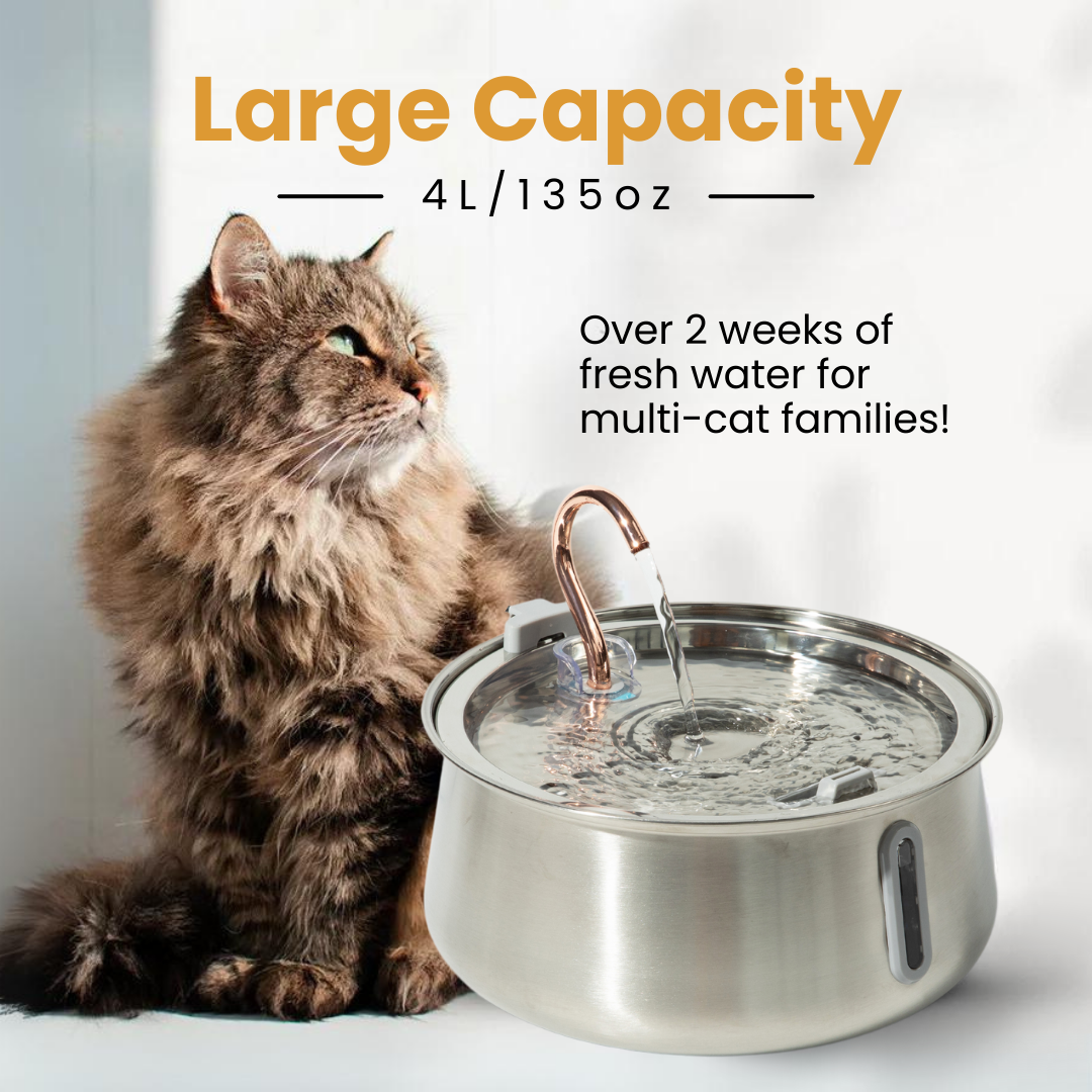 4L Fountain 2.0 Starter Kit