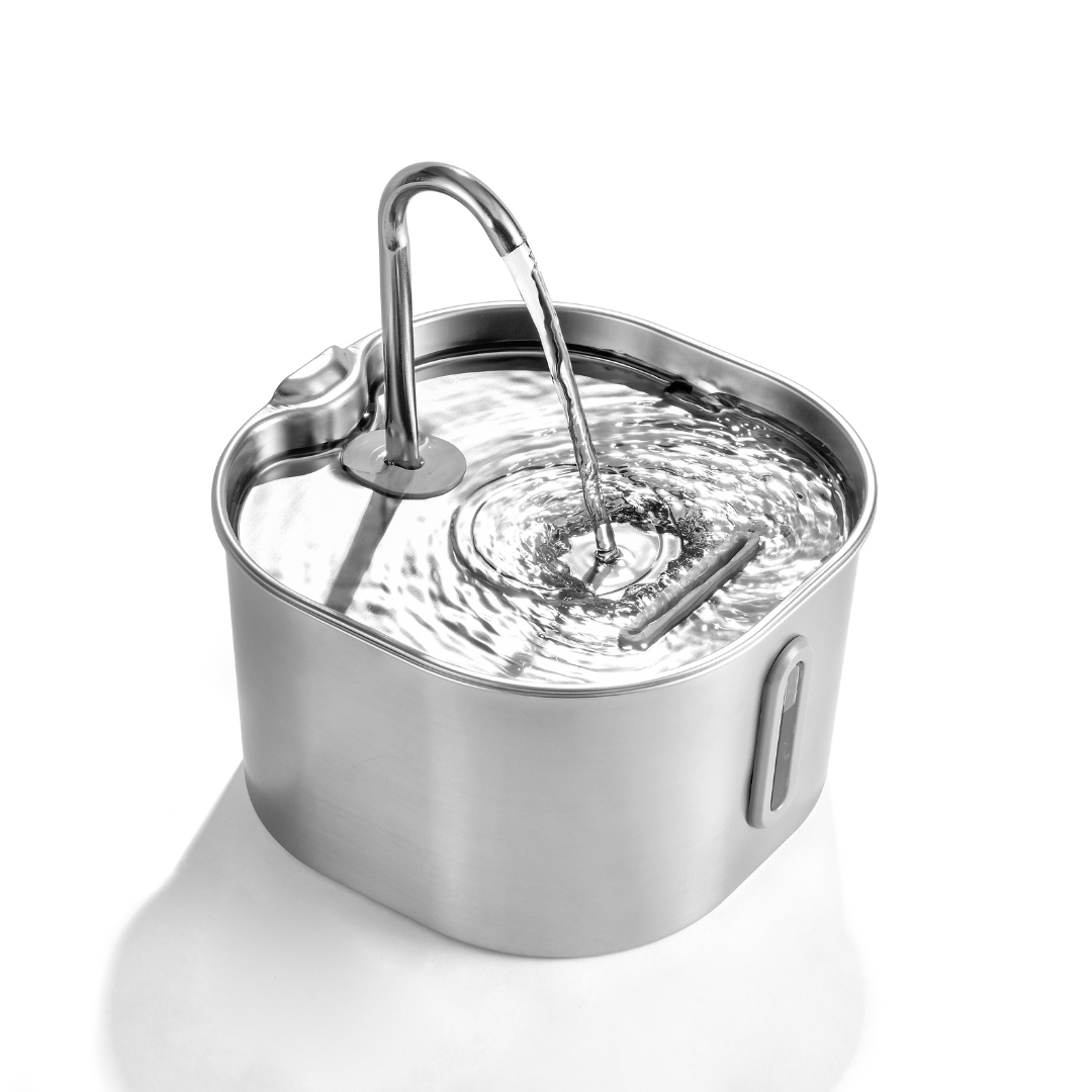 2.2L Fountain Hydration & Play Bundle