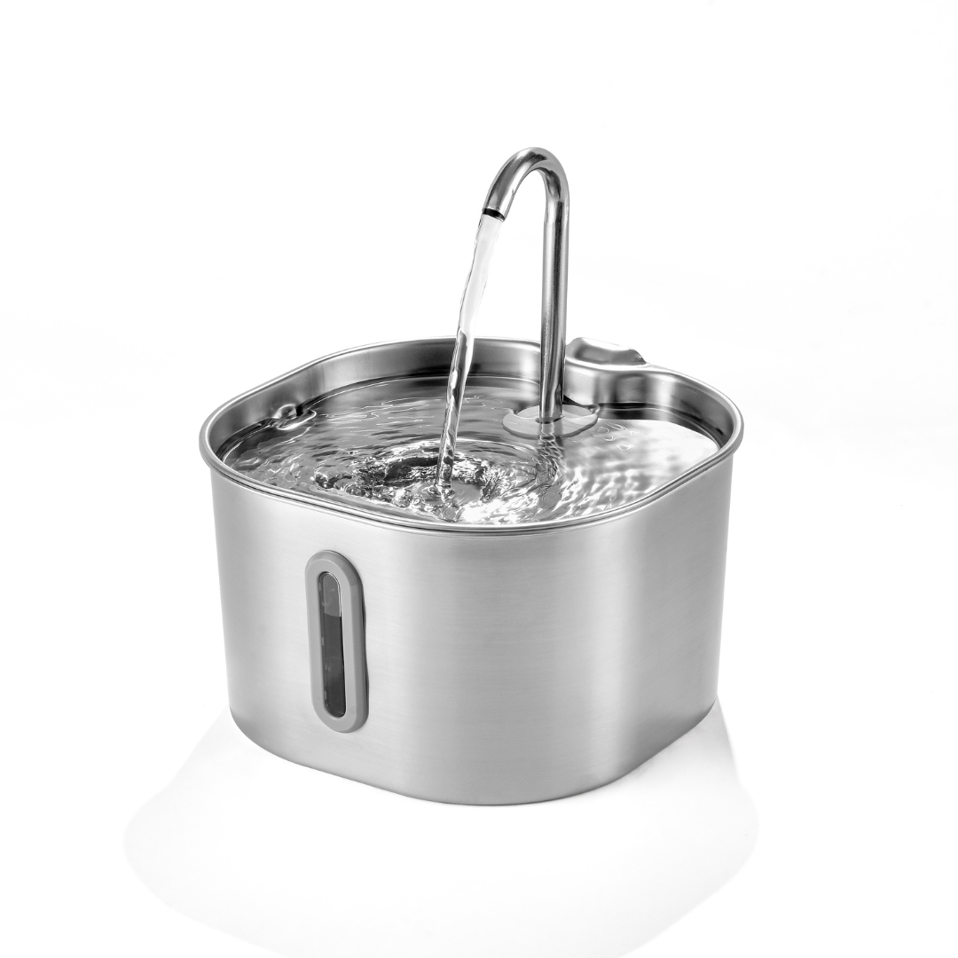 2.2L Fountain Multi-Cat Family Bundle
