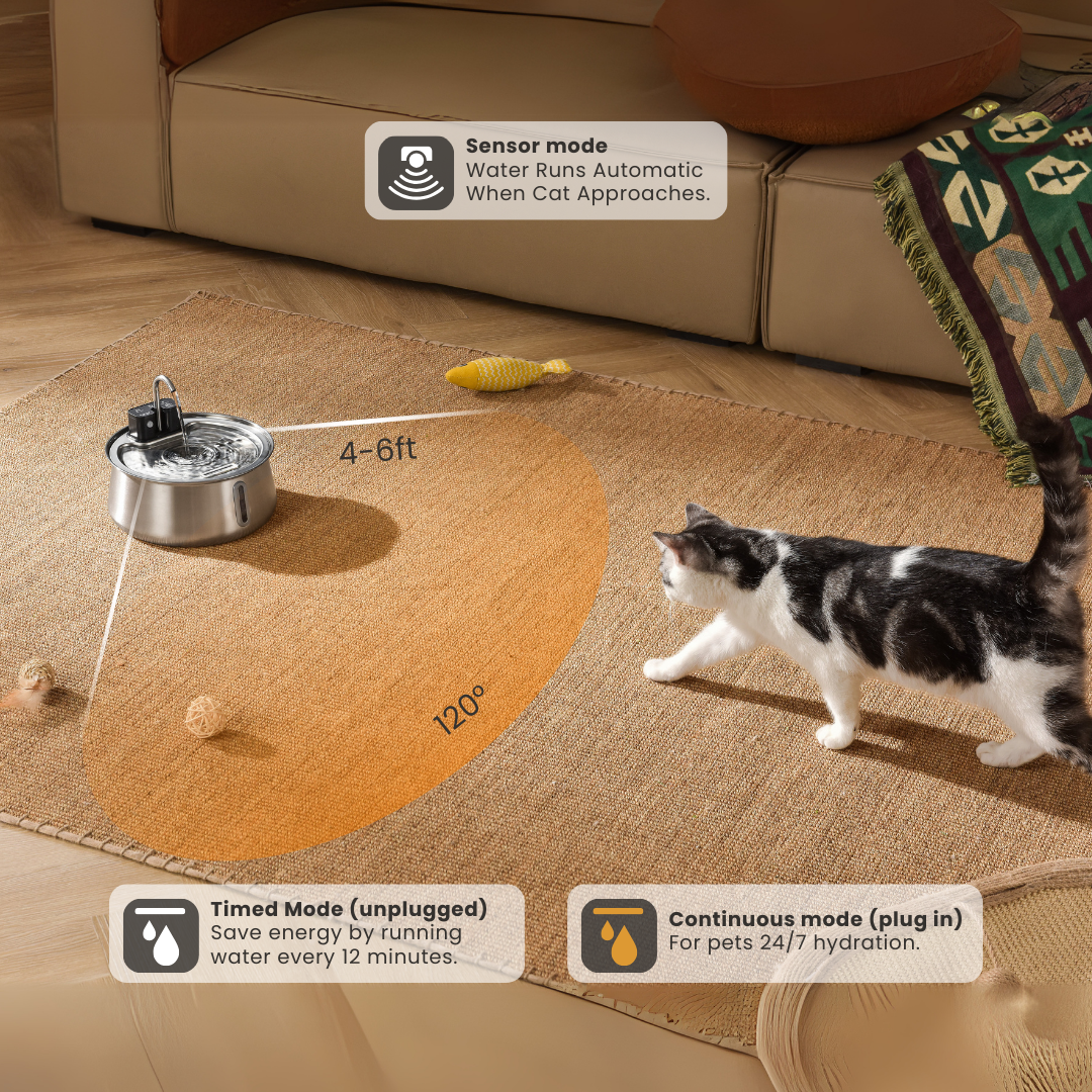 Wireless 2.0 Fountain Value Bundle