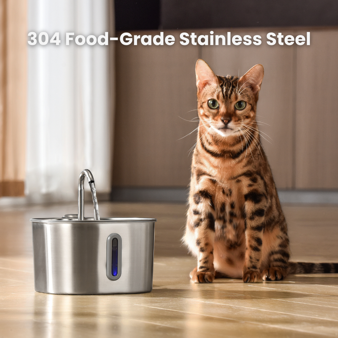 2.2L Fountain Multi-Cat Family Bundle
