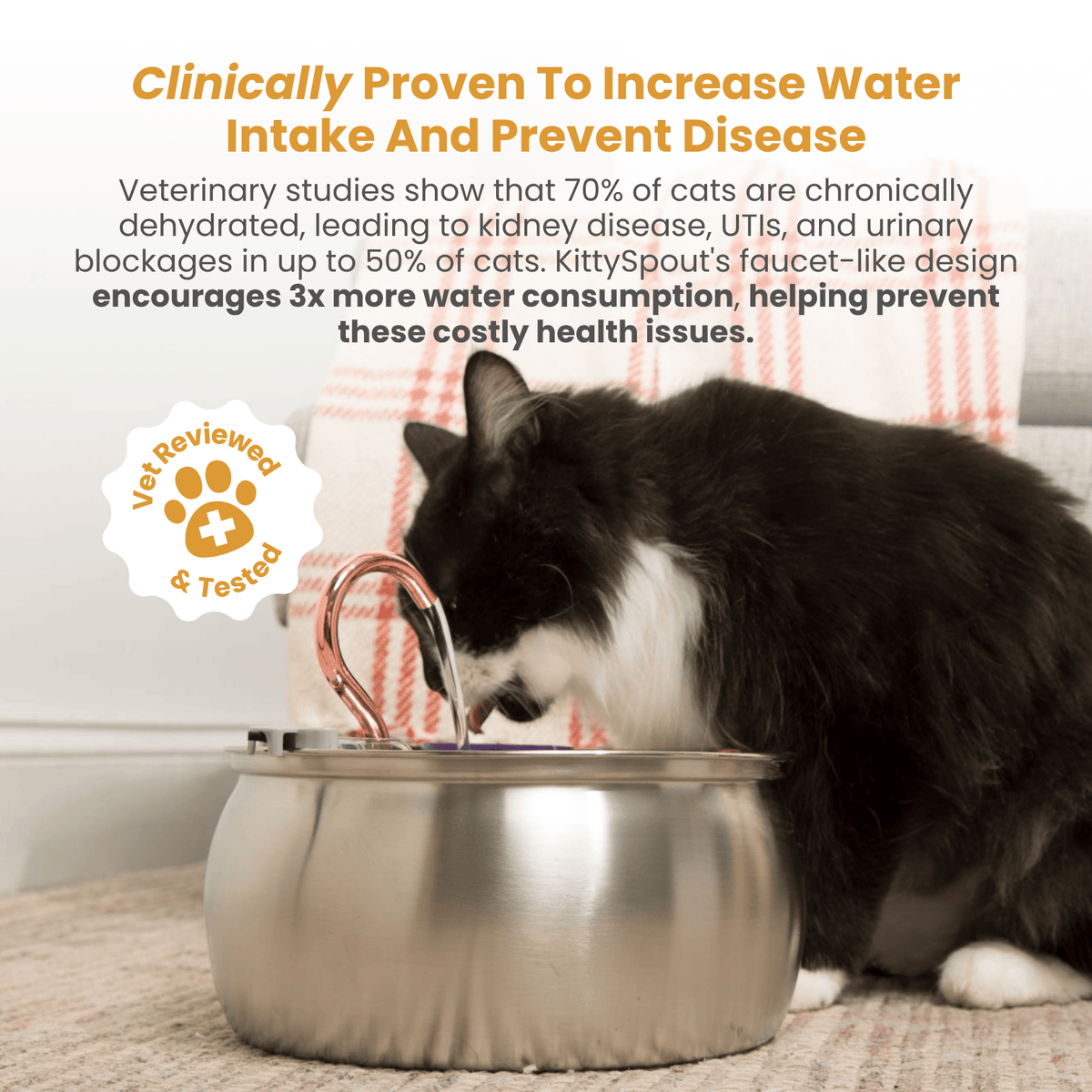 4L Fountain Value Bundle