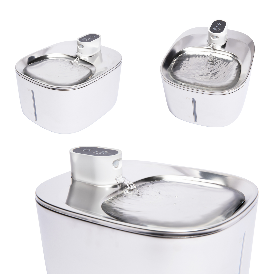 Wireless Fountain Multi-Cat Family Bundle