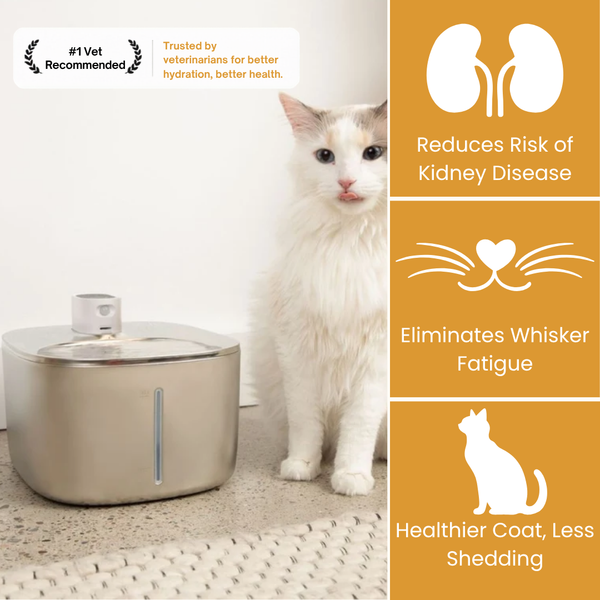 Wireless Stainless Steel Cat Fountain