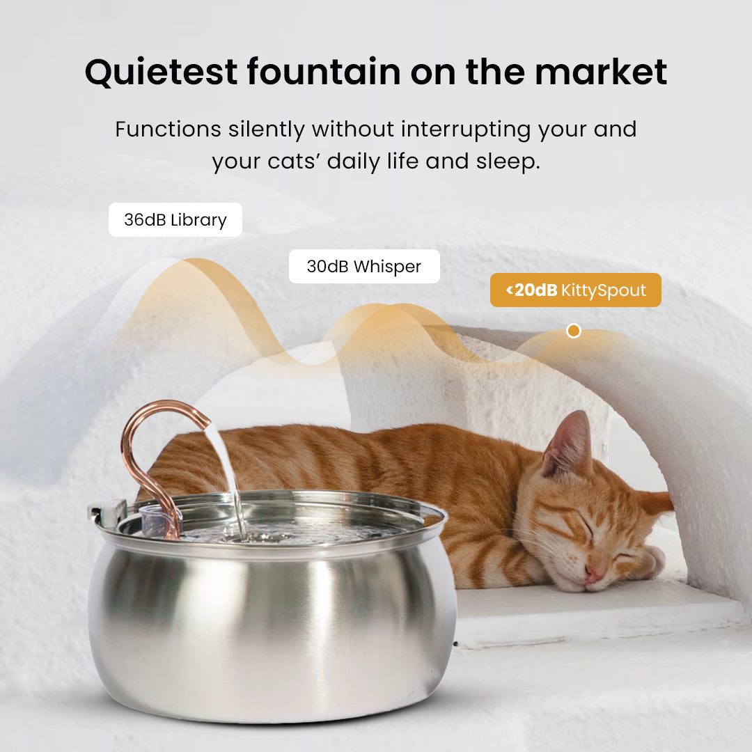 4L Fountain Value Bundle