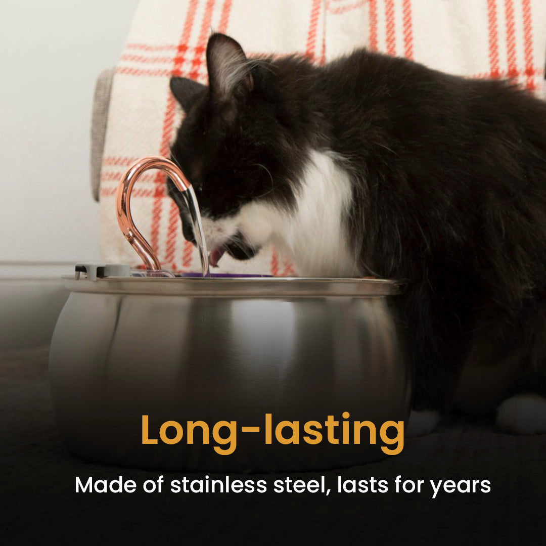 4L Fountain Multi-Cat Family Bundle