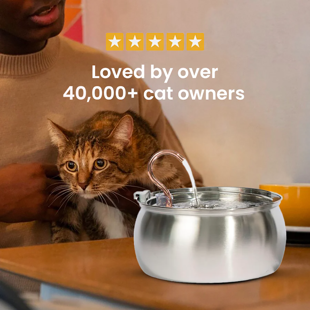 4L Fountain Multi-Cat Family Bundle