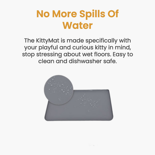 Wireless Fountain Value Bundle