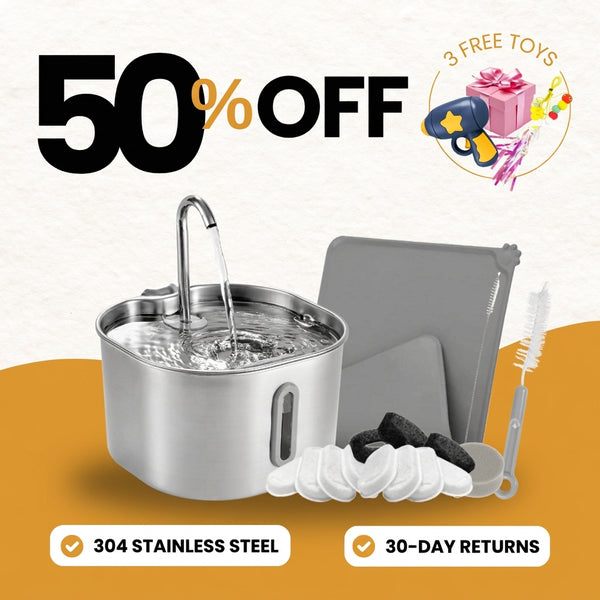 2.2L Fountain Premium Value Bundle