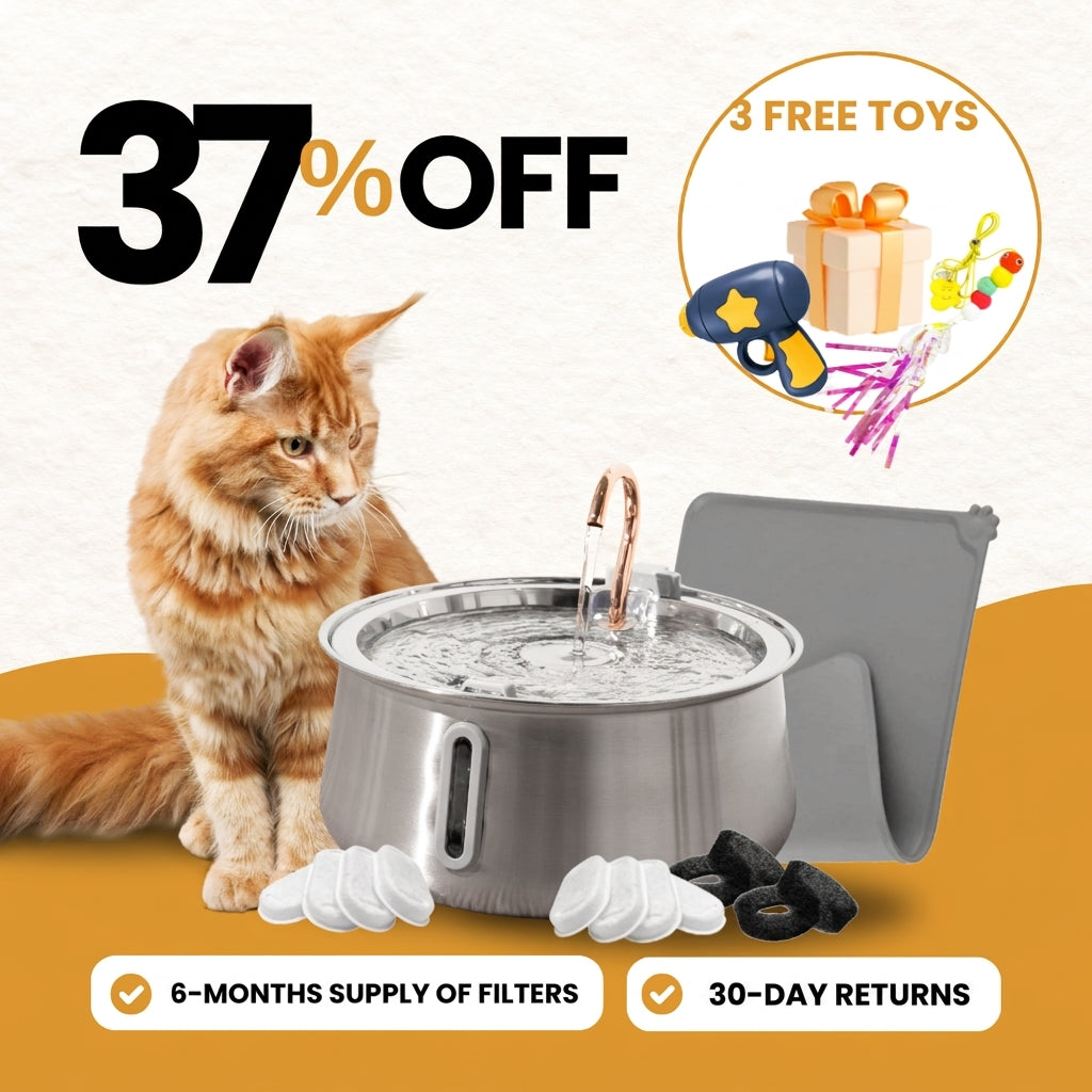 4L Fountain Complete Care Kit