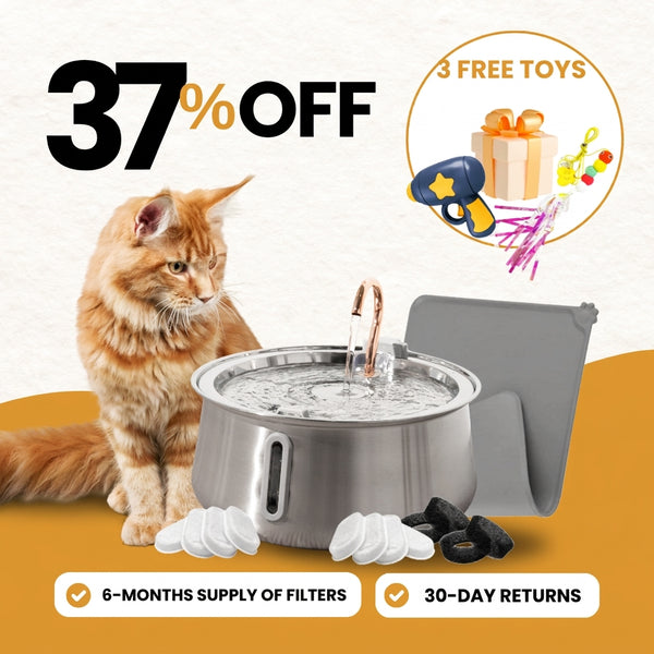 4L Fountain Complete Care Kit