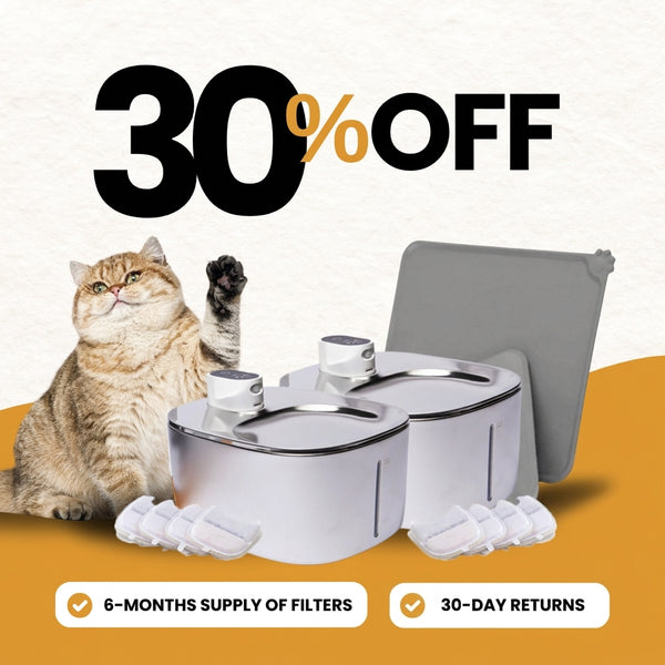 Wireless Fountain Multi-Cat Family Bundle